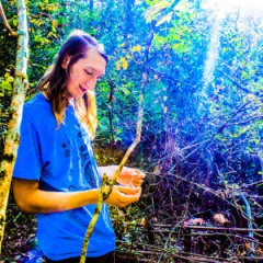 Axxa/Abraxas吉他谱