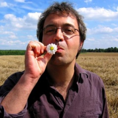 <b>Goetz Widmann</b>吉他谱