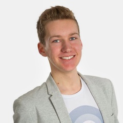 <b>Louis Flion</b>吉他谱
