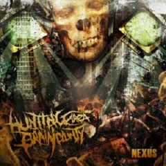 Hunting Area Brain County吉他谱