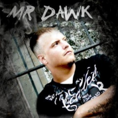 <b>Mr Dawk</b>吉他谱