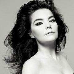 Bjork吉他谱