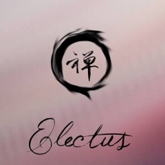 Electus吉他谱