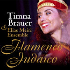 Timna Brauer & Elias Meiri Ensemble吉他谱