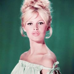 Brigitte Bardot吉他谱