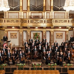 Wiener Johann Strauss Orchester吉他谱