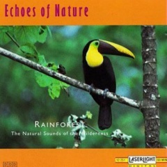 Echoes Of Nature吉他谱