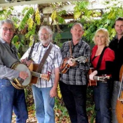 The Hamilton County Bluegrass Band吉他谱