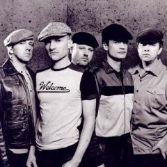 Die Prinzen吉他谱