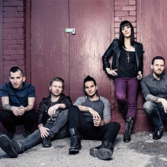 The Material吉他谱