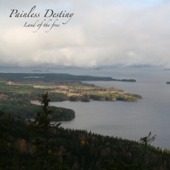 Painless Destiny吉他谱