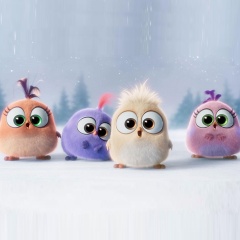 The Hatchlings
