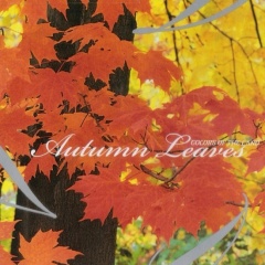 Colors of the Land吉他谱