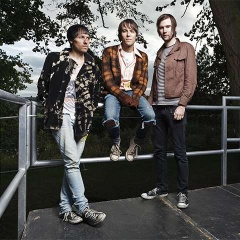 The Cribs