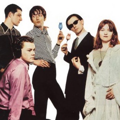 Pulp