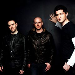The Script