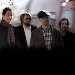 Nice Little Penguins吉他谱