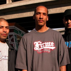 Los Nativos吉他谱