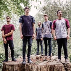 In Hearts Wake吉他谱