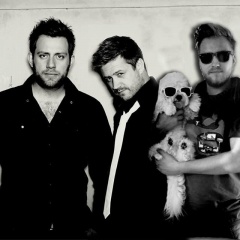 The White Album吉他谱