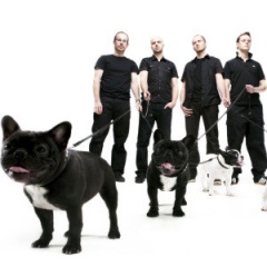 Don Johnson Big Band吉他谱