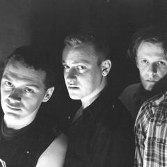 Swans
