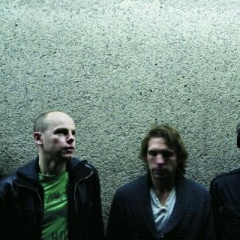<b>Animal Kingdom</b>吉他谱