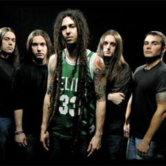 <b>Shadows Fall</b>吉他谱
