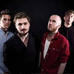 Wild Beasts