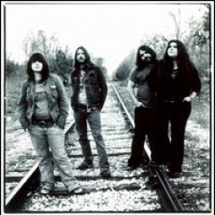 The Magic Numbers
