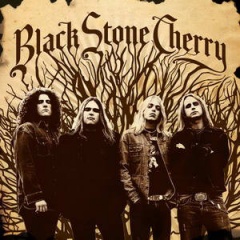 <b>Black Stone Cherry</b>吉他谱
