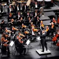 Louisiana Philharmonic Orchestra吉他谱