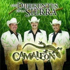 Los Diferentes De La Sierra吉他谱