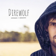 <b>Direwolf</b>吉他谱