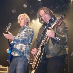 The Higsons