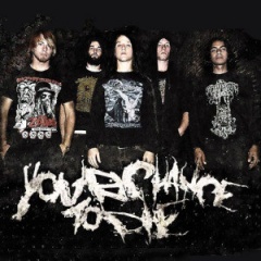 Your Chance To Die吉他谱