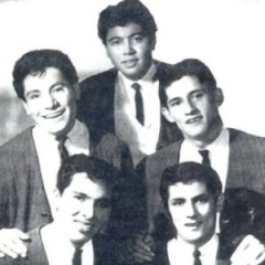 <b>Johnny Jets</b>吉他谱