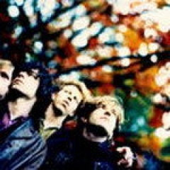 <b>Fatal Flowers</b>吉他谱