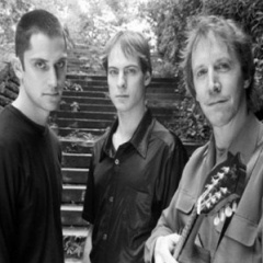 The Jazz Mandolin Project