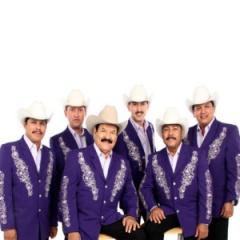 Cardenales De Nuevo León吉他谱