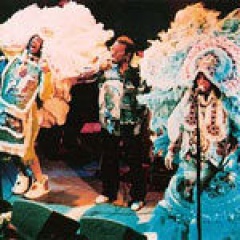 The Wild Magnolias吉他谱