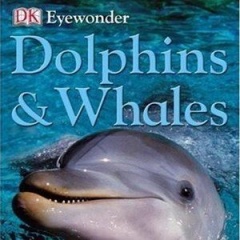 Dolphins & Whales吉他谱