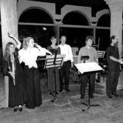 Ensemble Ferrara吉他谱