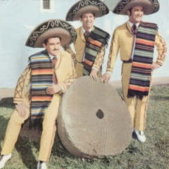 Pedro Bento, Z Da Estrada E Celinho