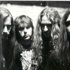 Jungle Rot