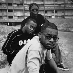 The Ruthless Rap Assassins