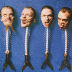Fischmob