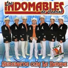 <b>Los Indomables</b>吉他谱
